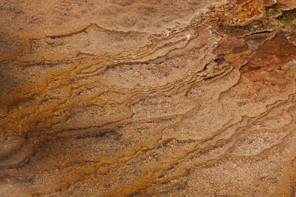 Terraced Bacteria Layers — Stock Photo, Image