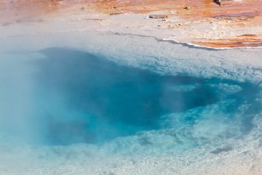 Silex bahar yakın çekim