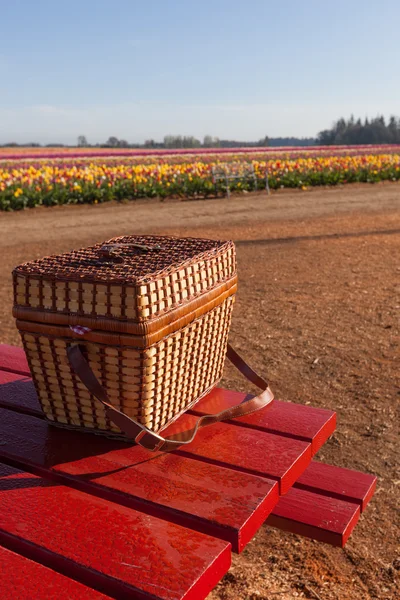 Pique-nique à la ferme des tulipes — Photo