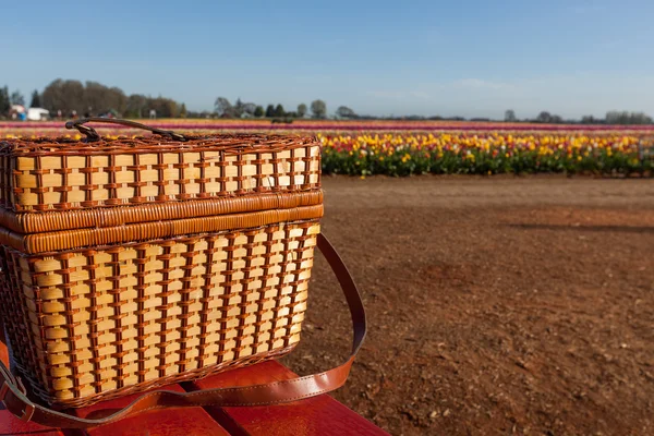 Piknik na farmě Tulipán — Stock fotografie