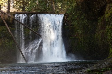 üst Kuzey düşüyor