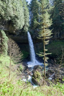 Şelale mağara üzerinde