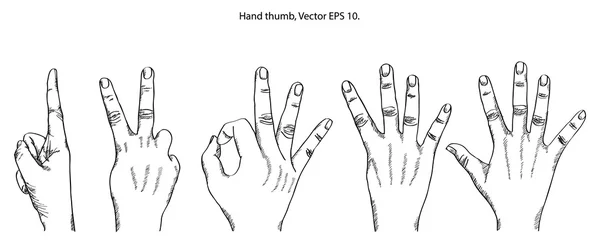 Doodle Hand geschetst omhoog, Vector Illustratie EPS-10. — Stockvector