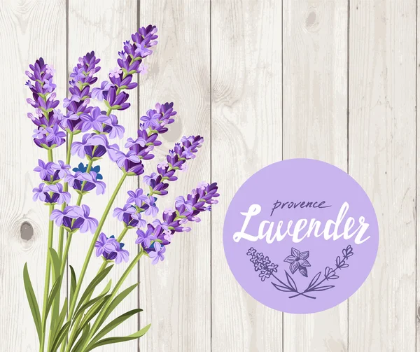 Vector lavender background — Stock Vector