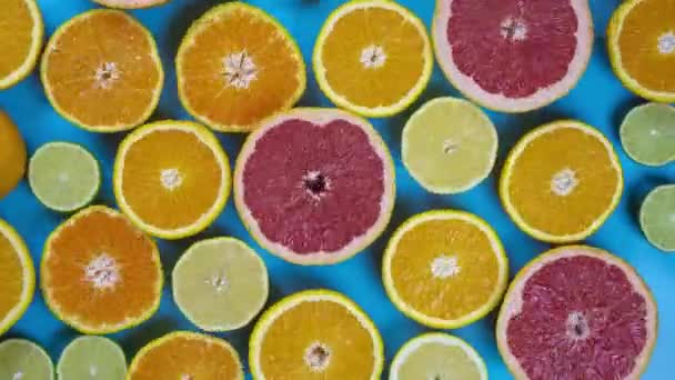 Stop motion animacja owoce cytrusy na kolorowe tło — Wideo stockowe