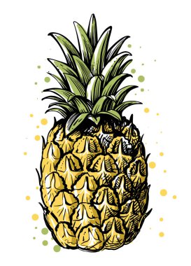Beyaz zemin üzerinde ananas ve çizim tarzı yapraklar