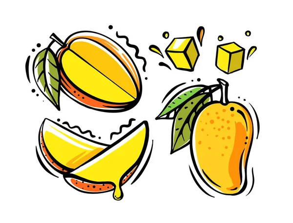 Conjunto de frutas de mango sobre fondo blanco — Vector de stock