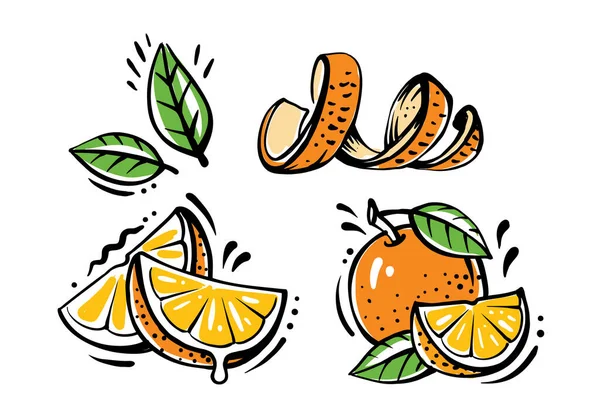 Conjunto de frutas laranja no fundo branco —  Vetores de Stock