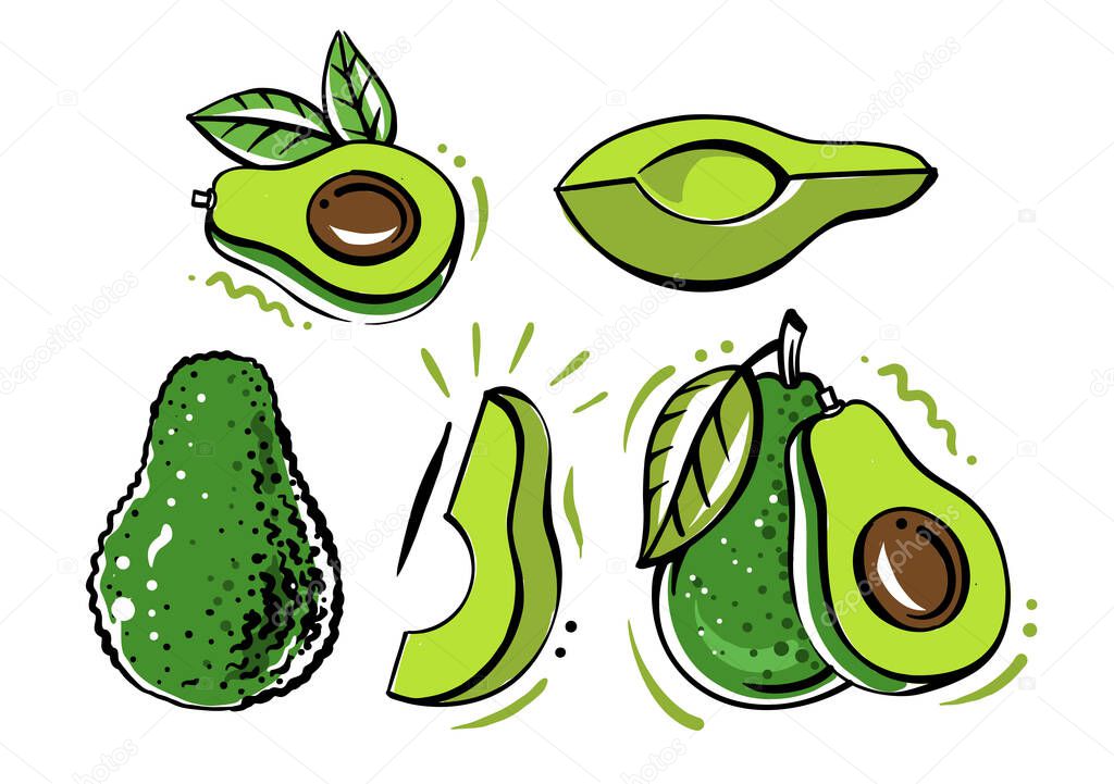 set of avocado fruits on white background