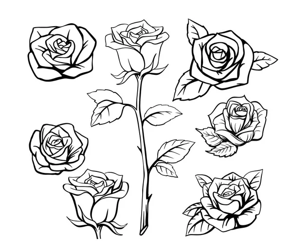 Black outline rose set on white background — Stock Vector