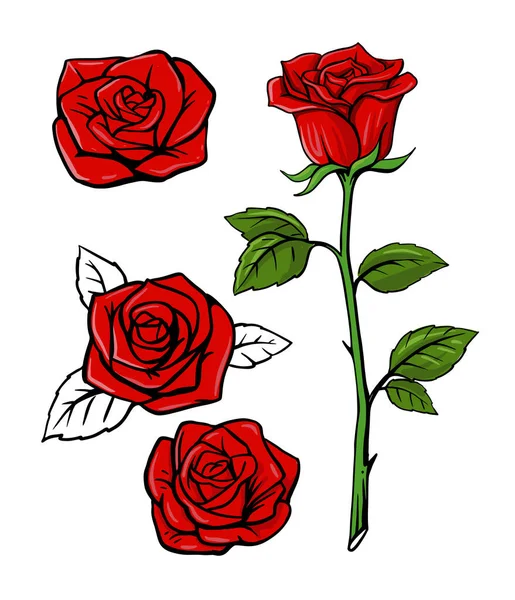 Red rose drawing Vector Images Depositphotos