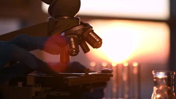 Investigadora mirando la muestra a través del microscopio en laboratorio — Vídeos de Stock