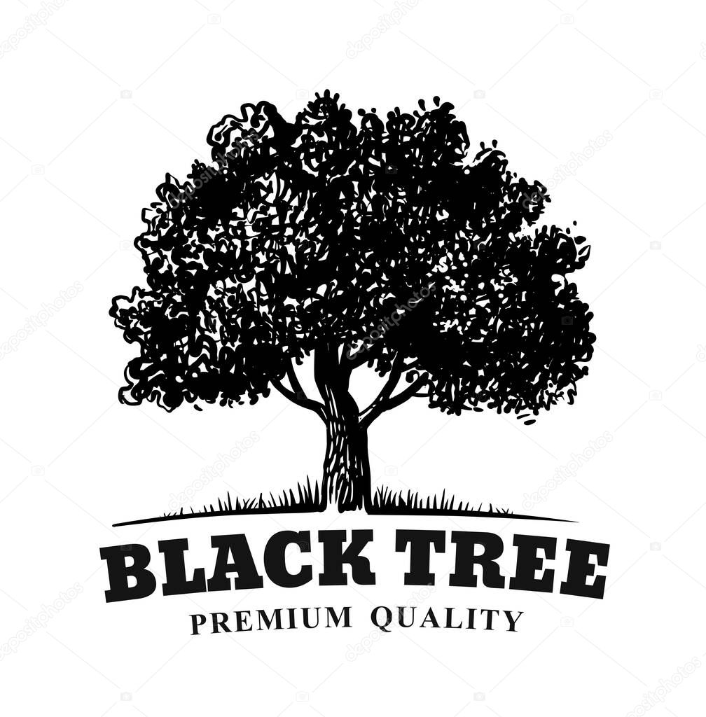 old tree with text emblem on white background
