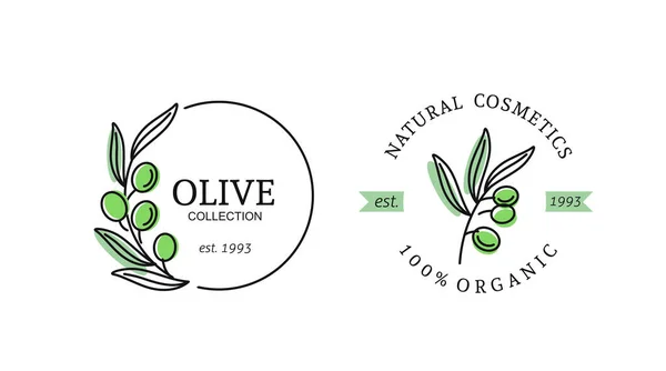 Olives emblem for olive oil products — Stock Vector