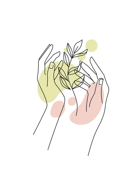 Dal yapraklı ve soyut bir geçmişi olan kadın elleri. Kozmetik, ambalaj, ürünler için arka plan — Stok Vektör
