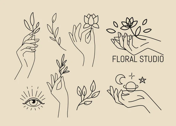 Mãos femininas com folhas e flores. Emblema para salão de beleza spa e produtos naturais —  Vetores de Stock