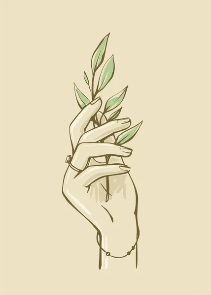 Femme main tenant branche avec des feuilles — Image vectorielle