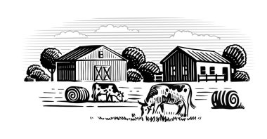 çiftliğin arka planında iki inek