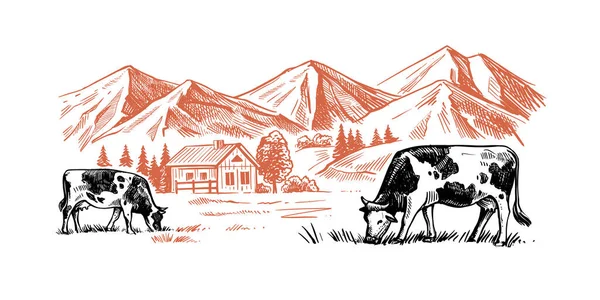 Корови жують траву на фоні ферми — стоковий вектор