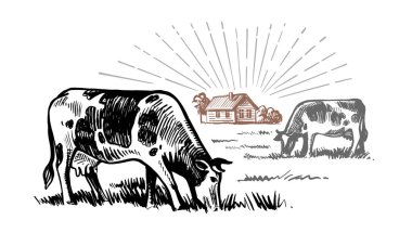 İnek evlerin yanındaki köyde duruyor.