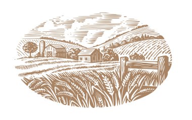 Buğday tarlasında bir köy. Kümülüs bulutlarının altında tarım manzarası 