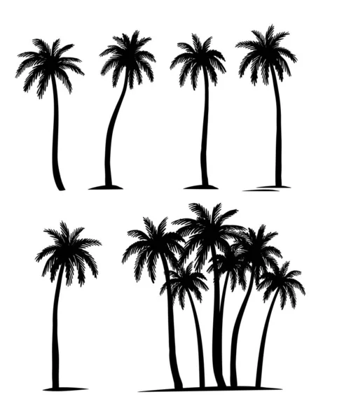 Palm trees silhouette. Coconut palm set. — Stock Vector