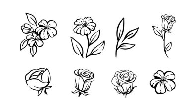 Flower Set sketch vector. Floral composition