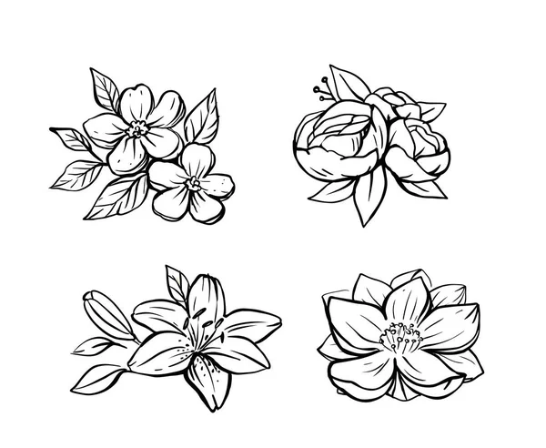 Set de flores vector de bocetos. Composición floral — Vector de stock