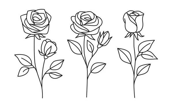 Line rose with leaves. Vector hand drawn set — Stock Vector