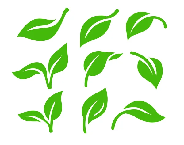 Segno di colore verde foglia natura. vettore tema ecologia — Vettoriale Stock