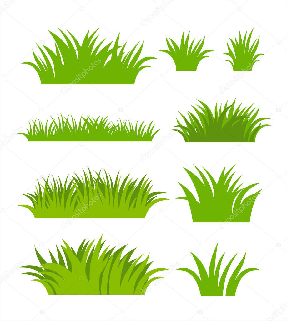 Green vector grass silhouette. Plants and shrubs for boarding and framing.