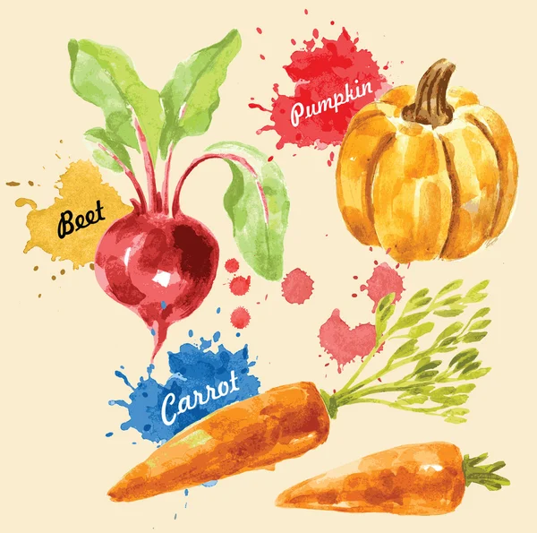 Illustration aquarelle de Légumes — Image vectorielle