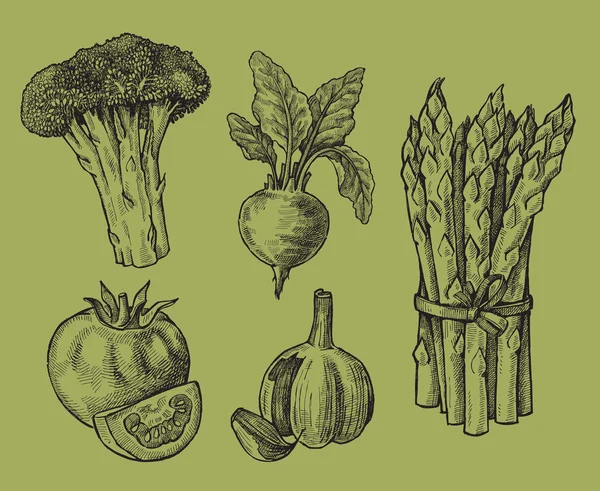 Mano dibujada de verduras — Vector de stock