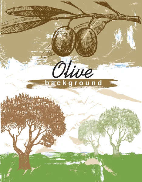 Ručně tažené olivový — Stockový vektor