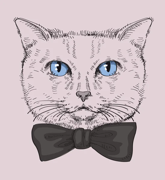 Gato Hipster — Archivo Imágenes Vectoriales