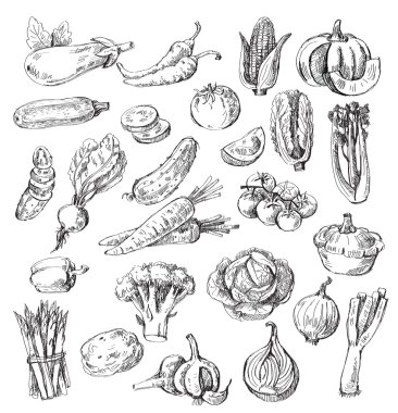 hand drawn vegetable clipart