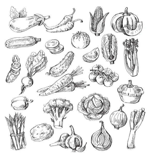 Légumes dessinés à la main — Image vectorielle