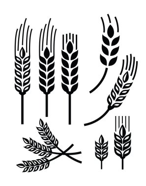 wheat icon clipart