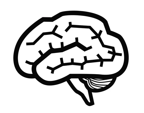 Brain icon — Stock Vector