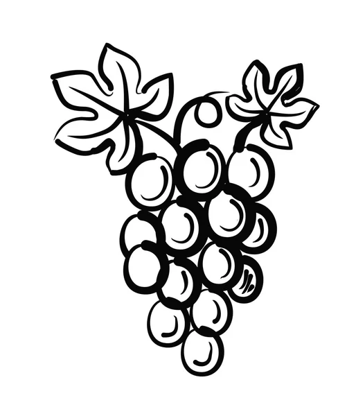 Вектор винограда — стоковый вектор