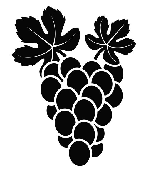 grapes vector