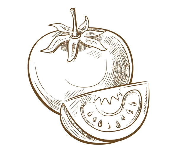 Малюнок томатний — стоковий вектор
