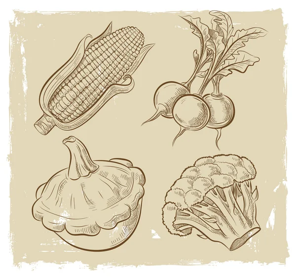 Image de légumes — Image vectorielle