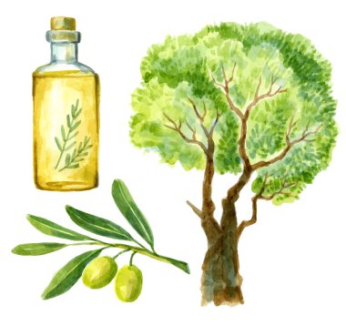 suluboya el çekilmiş zeytin