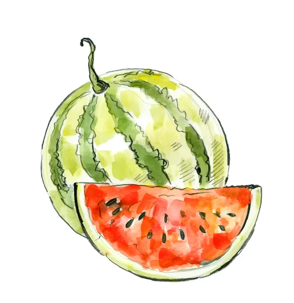 Bild von Wassermelone — Stockvektor