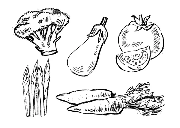 Иллюстрация овощей — стоковый вектор