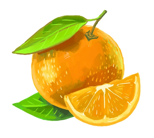 Imagem de laranja — Vetor de Stock