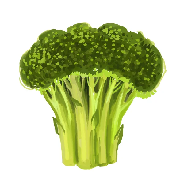 Image de brocoli — Image vectorielle