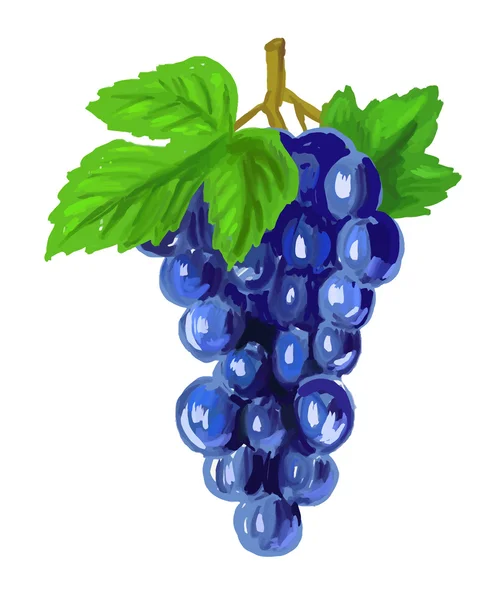 Imagen de las uvas rojas — Vector de stock