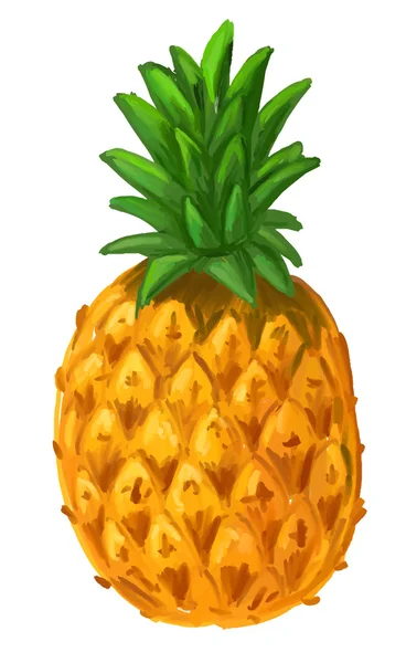 Bild der Ananas — Stockvektor